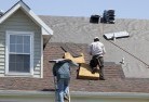 The Patchskylights-2.jpg; ?>